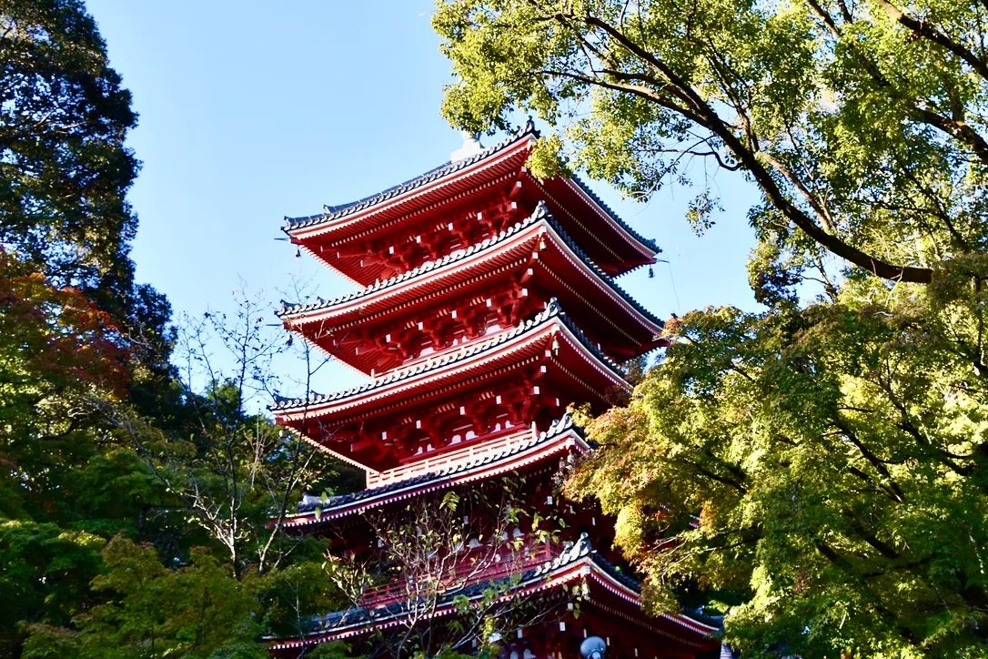 🎋 죽림 공원(치쿠린 코엔) 이미지 8